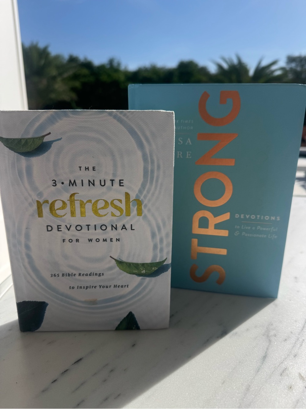 Two Inspirational Women’s Books – Lisa Bevere + Refresh Devotional